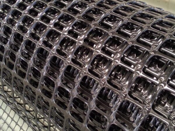 Geogrid